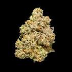 Gelato 41