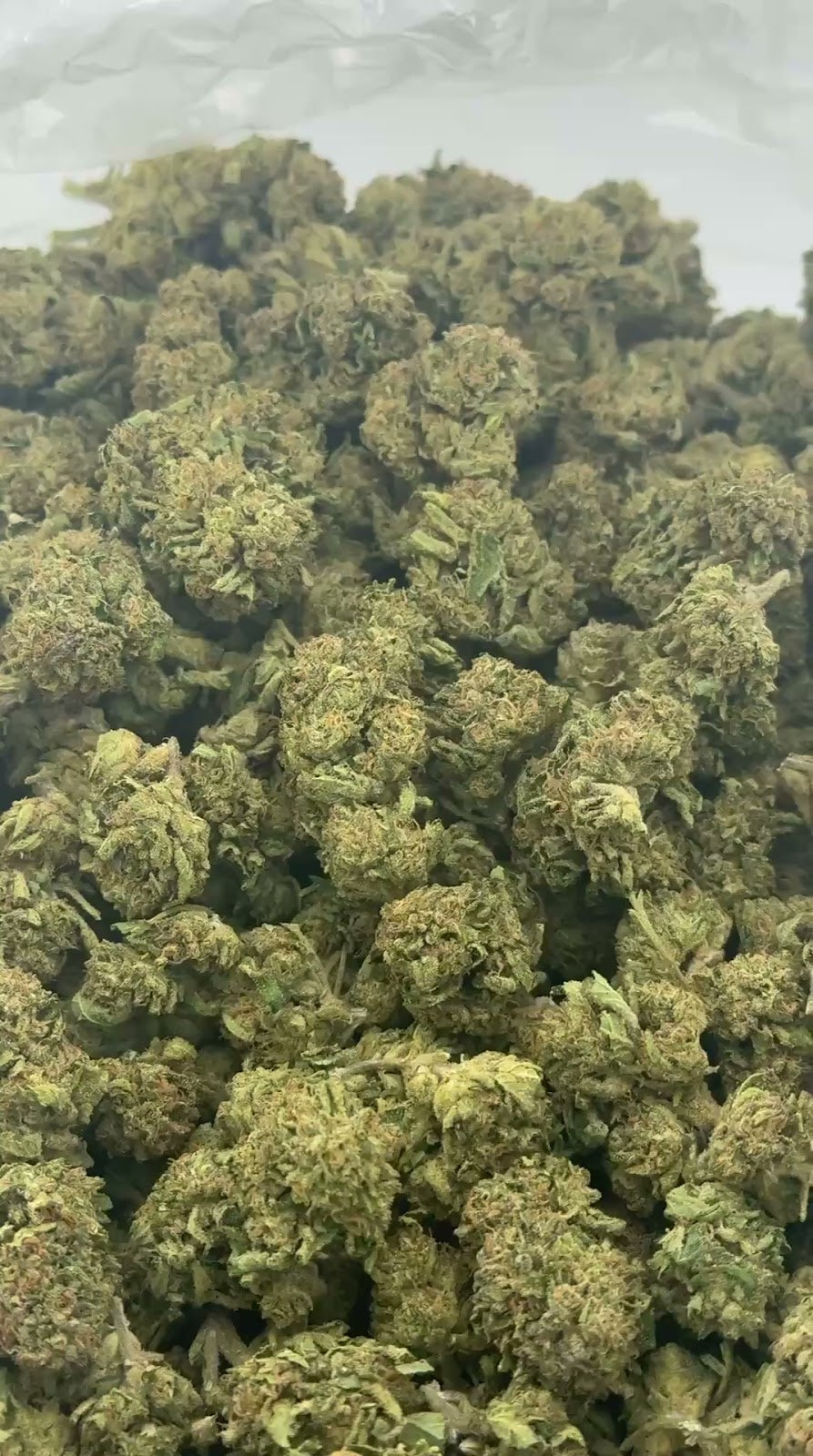 RAINBOW SHERBET