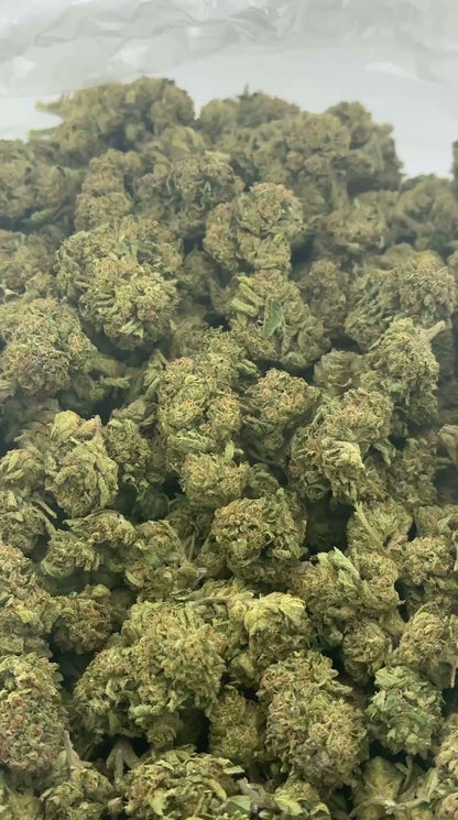 RAINBOW SHERBET